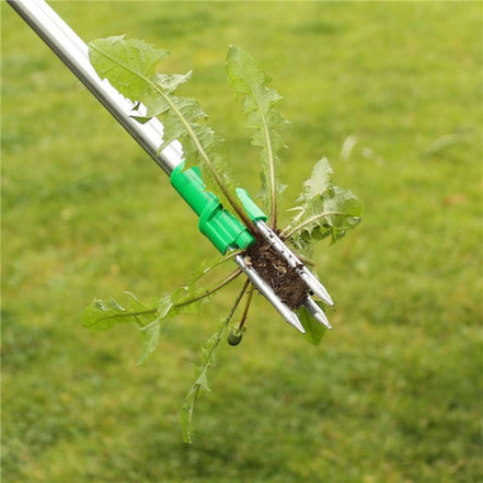 Unkrautentferner mit langem Griff für rückenschonende Gartenarbeit