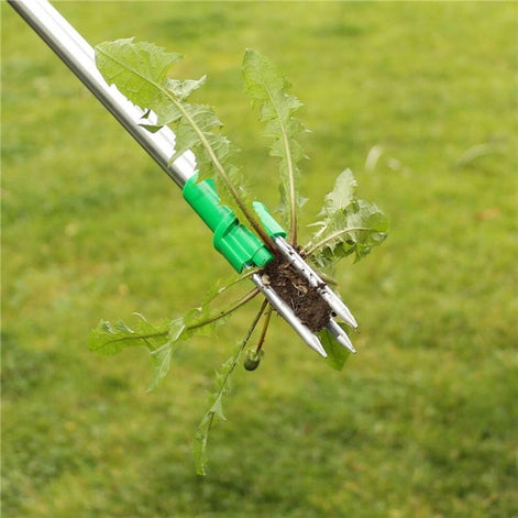 Unkrautentferner mit langem Griff für rückenschonende Gartenarbeit
