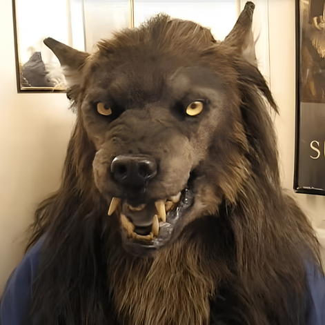 Werwolf Vollmaske für Halloween und Kostümpartys – Luphar
