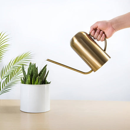 Gießkanne aus Edelstahl mit langer Ausgusstülle