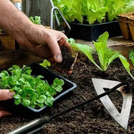 Manuelles Unkrautwerkzeug mit Hohlklinge aus Stahl