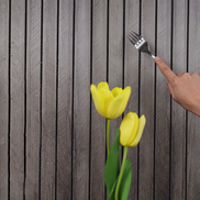 3D Akupanel selbstklebend im Holzlook – Stilvolle Wandgestaltung leicht gemacht
