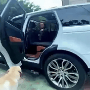 PetGuard Pro Autositzschutz für Hunde mit stabiler Bodenplatte