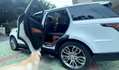 PetGuard Pro Autositzschutz für Hunde mit stabiler Bodenplatte