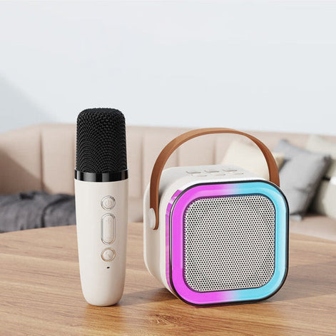Tragbares kabelloses Karaoke-System mit zwei Mikrofonen