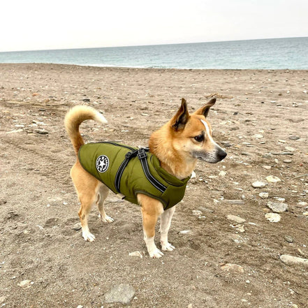 Caniflex Winter-Hundejacke mit integrierter Geschirr-Funktion