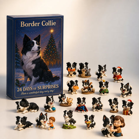 Border Collie Adventskalender mit 24 Türchen und Hundemotiven – Collenova