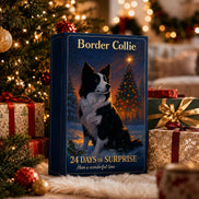 Border Collie Adventskalender mit 24 Türchen und Hundemotiven – Collenova