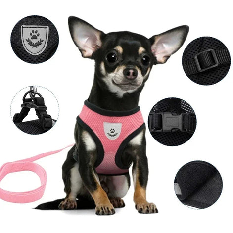 PawEase Mesh Harness Set – Verstellbares Katzen- und Kleintiergeschirr mit Leine