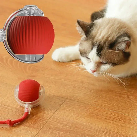 Interaktiver Katzen-Spielball – Weiches Plüschspielzeug für aktives Spielen