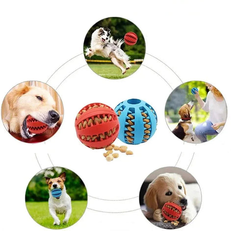Gummiball für Hunde mit Öffnungen für Leckerlis – Canivo