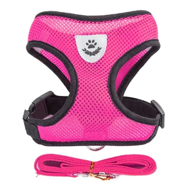 PawEase Mesh Harness Set – Verstellbares Katzen- und Kleintiergeschirr mit Leine