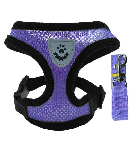 PawEase Mesh Harness Set – Verstellbares Katzen- und Kleintiergeschirr mit Leine