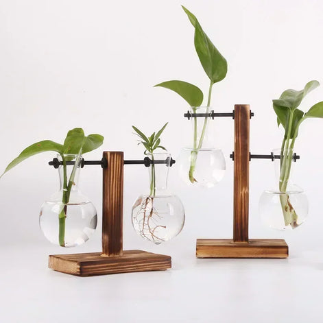 Floria Pflanzenterrarium – Glaskolben-Vase mit Holzständer