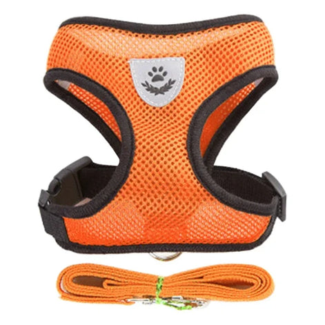 PawEase Mesh Harness Set – Verstellbares Katzen- und Kleintiergeschirr mit Leine