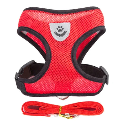 PawEase Mesh Harness Set – Verstellbares Katzen- und Kleintiergeschirr mit Leine