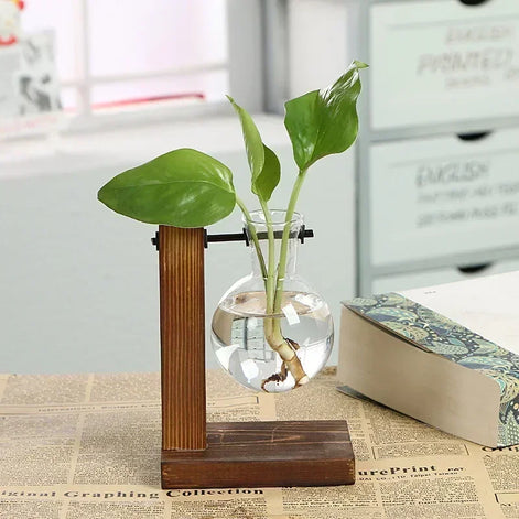 Floria Pflanzenterrarium – Glaskolben-Vase mit Holzständer