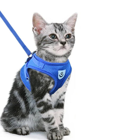 PawEase Mesh Harness Set – Verstellbares Katzen- und Kleintiergeschirr mit Leine