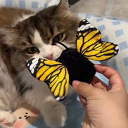Interaktives Katzenspielzeug mit beweglichen Flügeln – Florevix