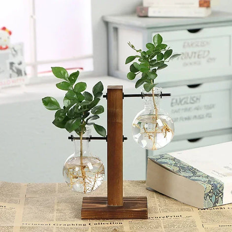 Floria Pflanzenterrarium – Glaskolben-Vase mit Holzständer