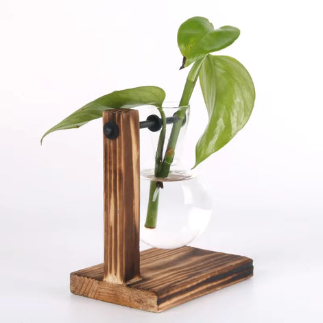 Floria Pflanzenterrarium – Glaskolben-Vase mit Holzständer