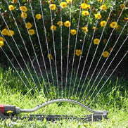 GartenSprayor Oscillierender Rasensprenger mit 4 Sprühmodi