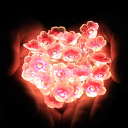 LED Blumen Lichterkette mit Kupferdraht, batteriebetrieben – Bluvessa