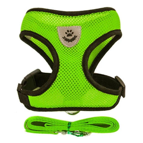 PawEase Mesh Harness Set – Verstellbares Katzen- und Kleintiergeschirr mit Leine