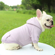 Mirello Hunde-Hoodie aus Polyester für Herbst und Winter