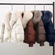 Damen Winterjacke mit Knopfleiste, Stehkragen und lockerer Passform – Elvoria
