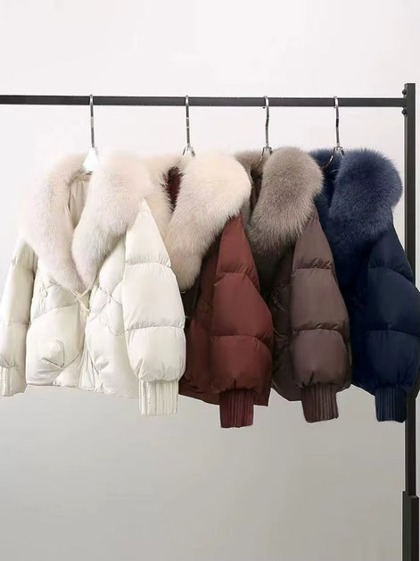 Damen Winterjacke mit Knopfleiste, Stehkragen und lockerer Passform – Elvoria