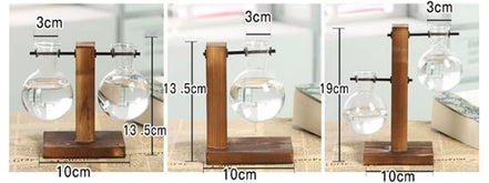 Floria Pflanzenterrarium – Glaskolben-Vase mit Holzständer