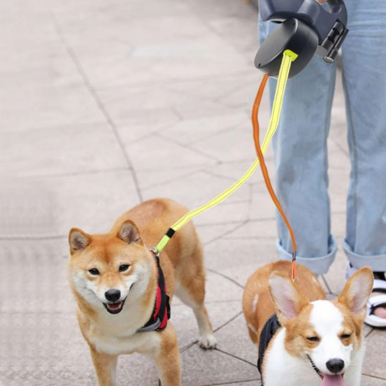 TwinTrek Doppel-Leinenhalter – Für übersichtliche Spaziergänge mit zwei Hunden