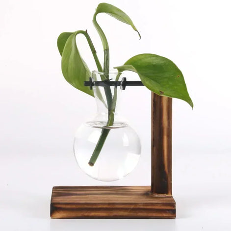 Floria Pflanzenterrarium – Glaskolben-Vase mit Holzständer