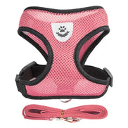 PawEase Mesh Harness Set – Verstellbares Katzen- und Kleintiergeschirr mit Leine