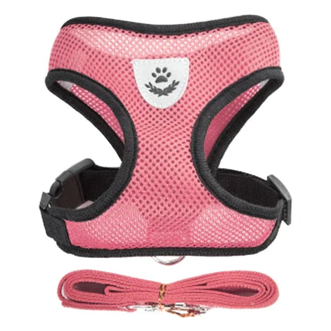 PawEase Mesh Harness Set – Verstellbares Katzen- und Kleintiergeschirr mit Leine