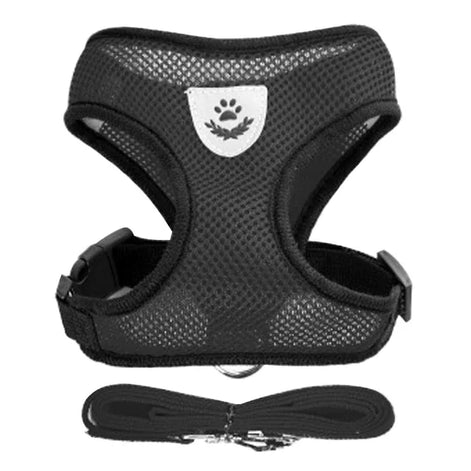PawEase Mesh Harness Set – Verstellbares Katzen- und Kleintiergeschirr mit Leine