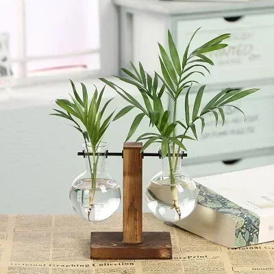Floria Pflanzenterrarium – Glaskolben-Vase mit Holzständer