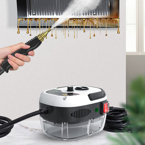 Tiefenreinigung mit präziser Dampftechnologie
